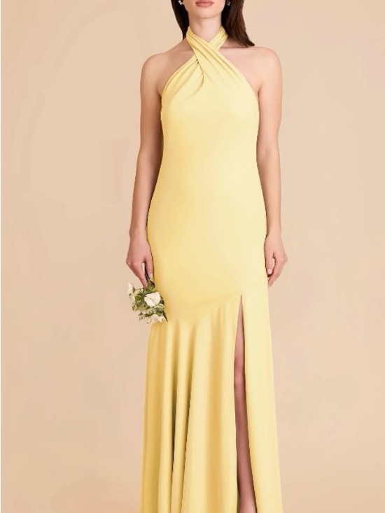 Birdy Grey Dresses & Skirts - Birdy Grey -Lemon Sorbet- Chiffon-Stephanie Dress